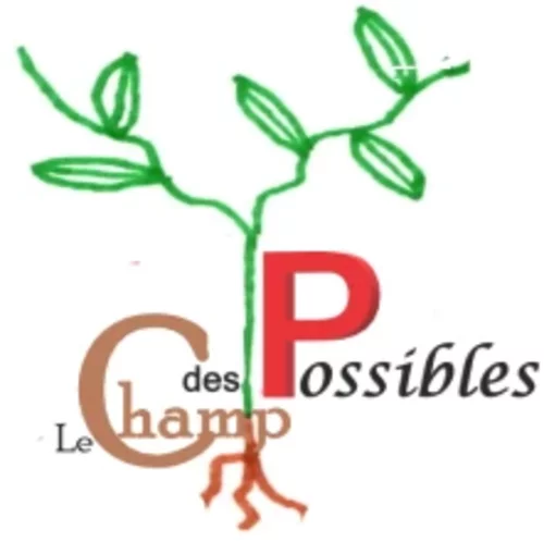 Logo du Projet