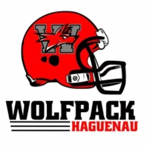 Logo du Projet