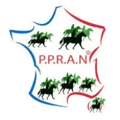 Logo du Projet