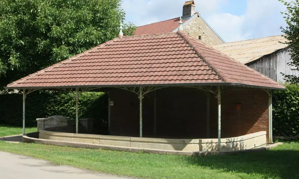 Slide image