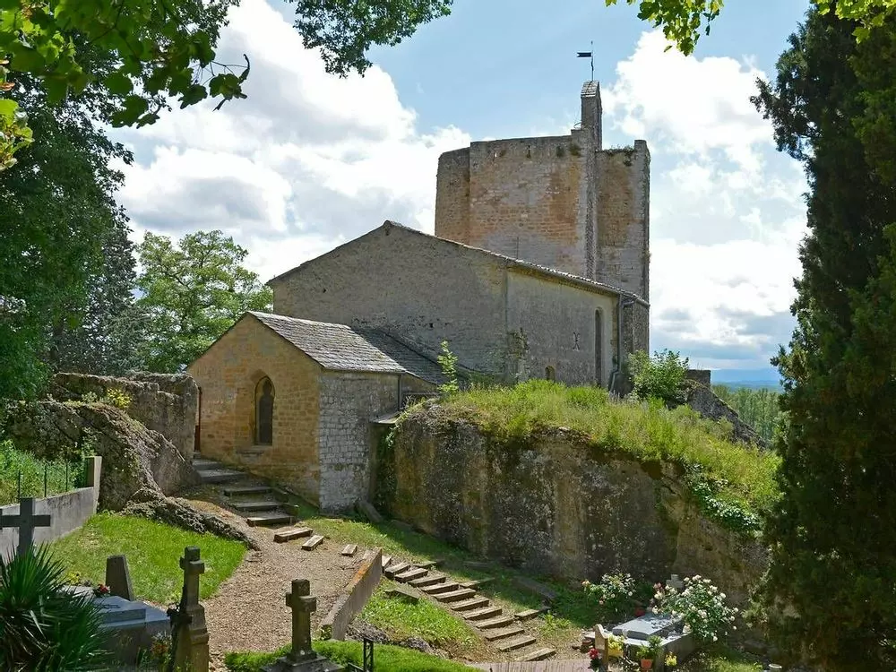 Slide image
