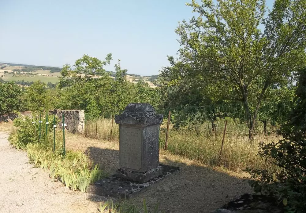 Slide image