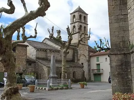 Slide image