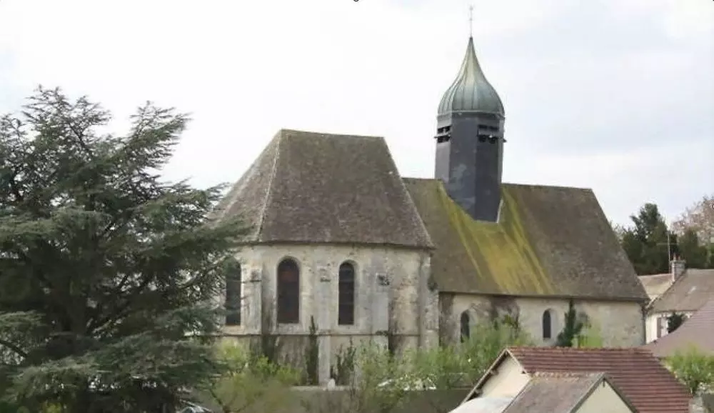 Slide image
