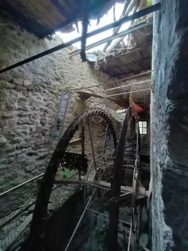 Slide image