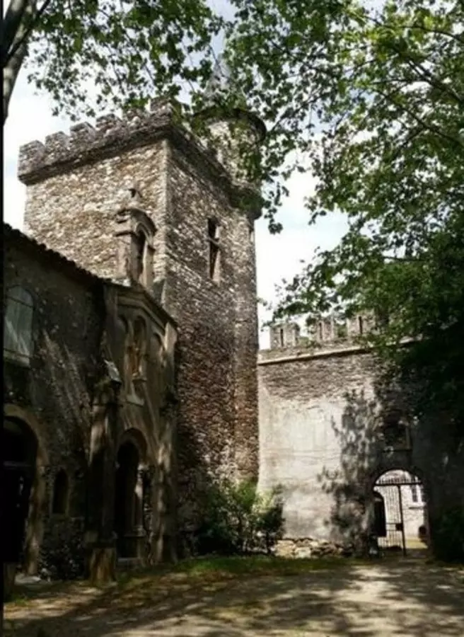 Slide image