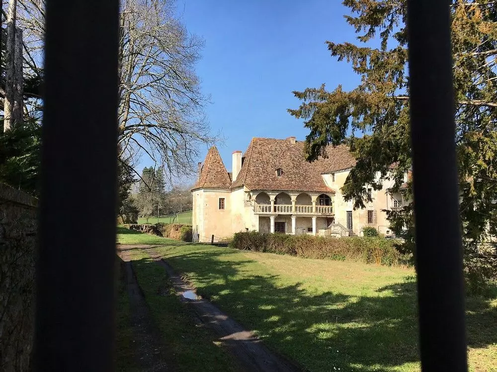 Slide image
