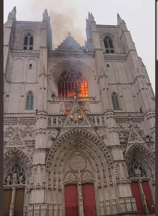 Slide image