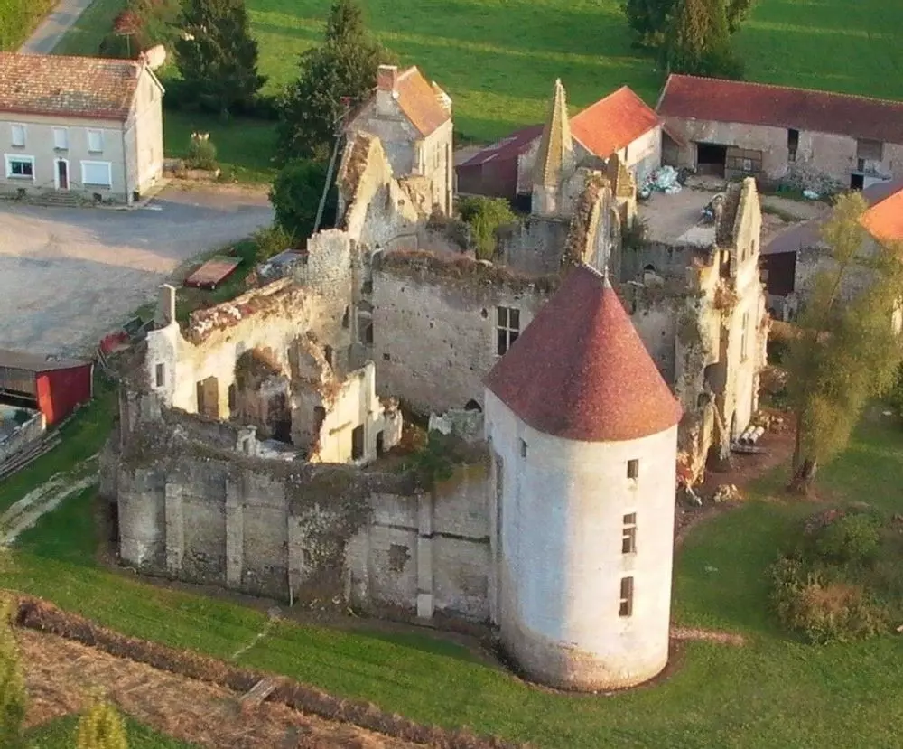 Slide image