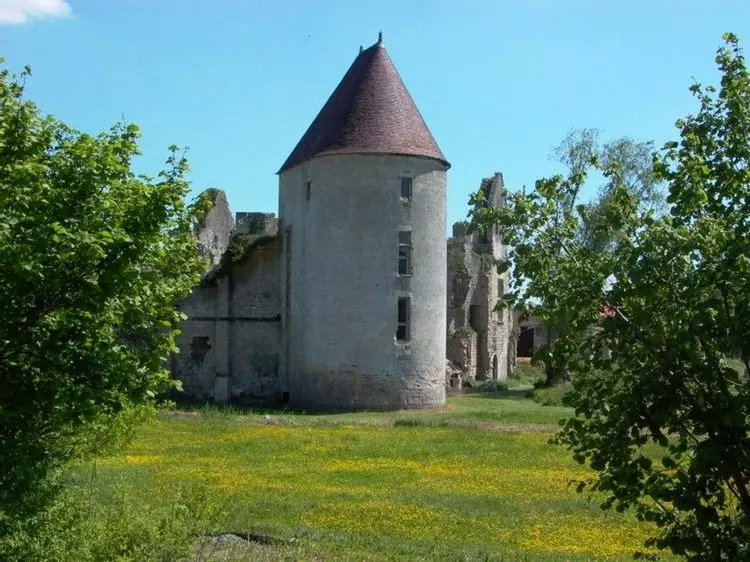 Slide image