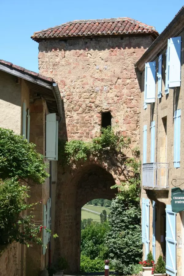 Slide image