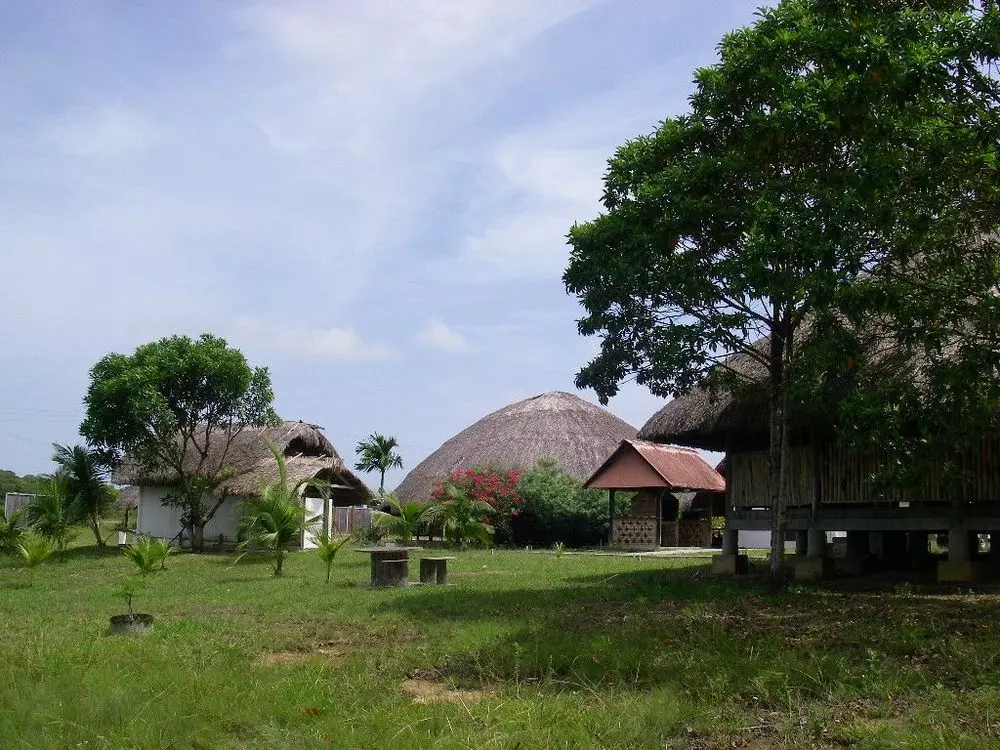 Slide image