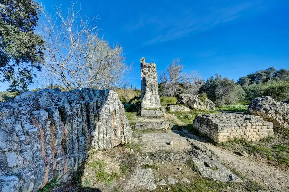Slide image