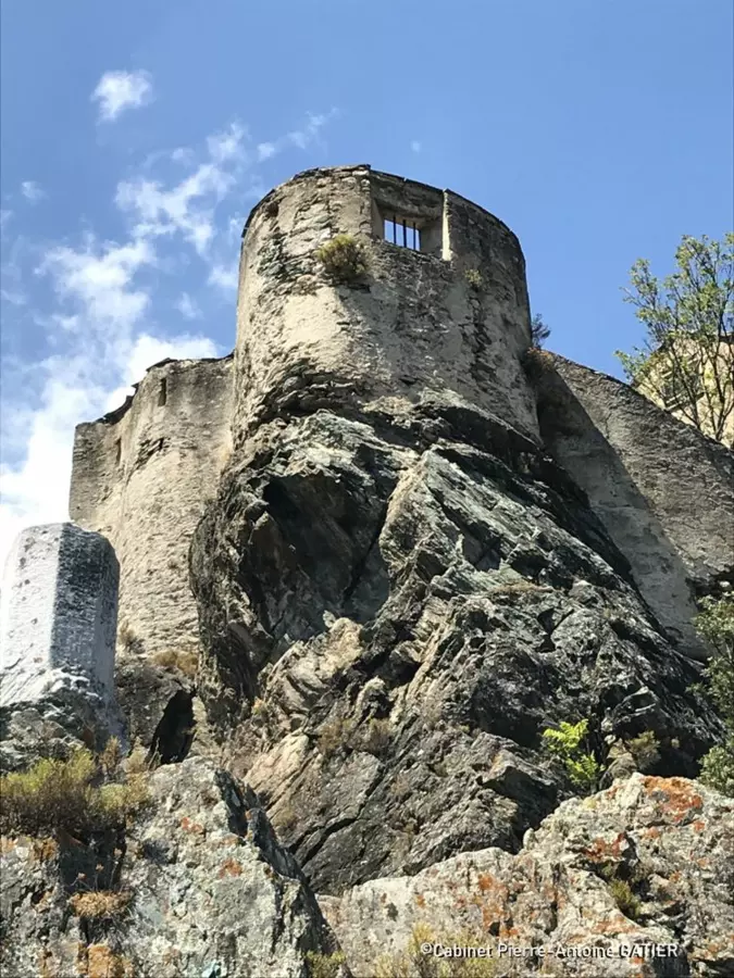 Slide image