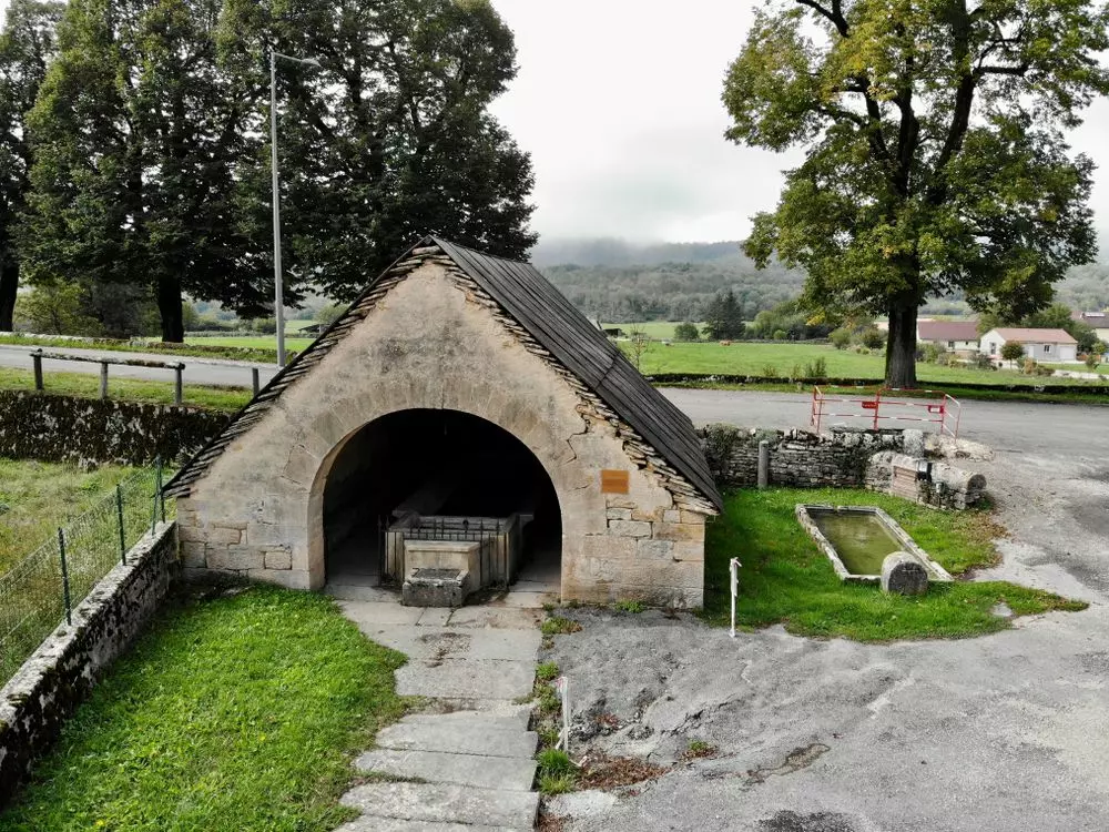 Slide image