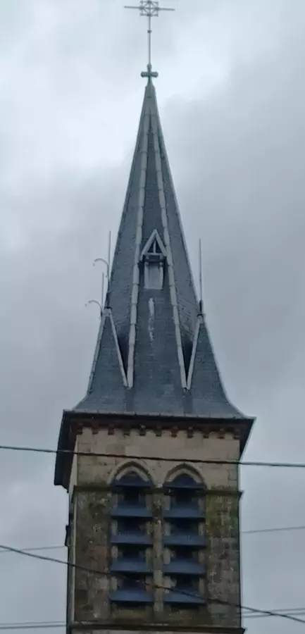 Slide image