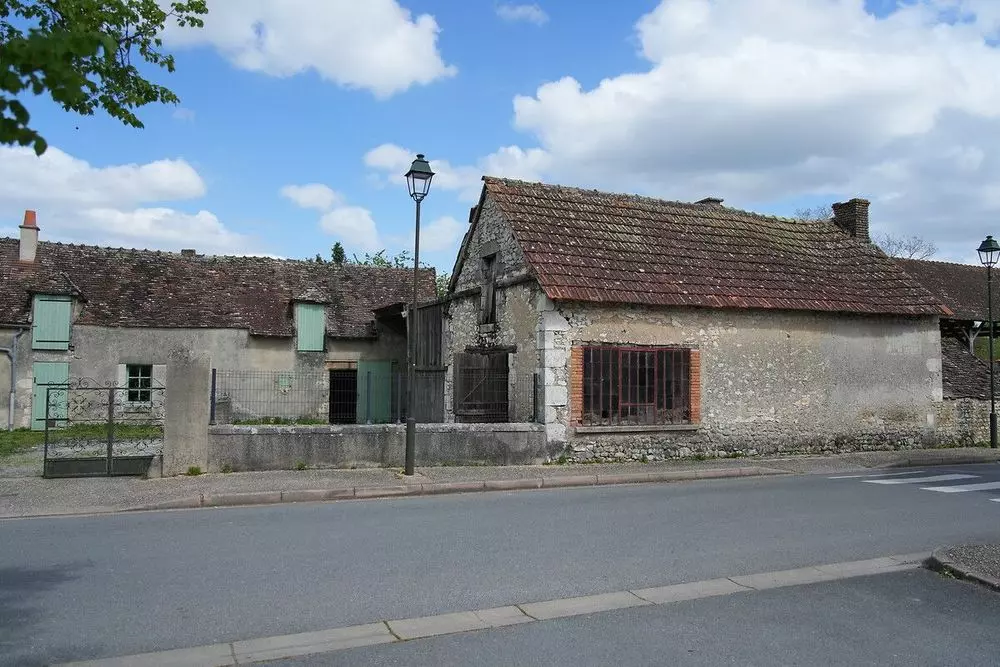Slide image