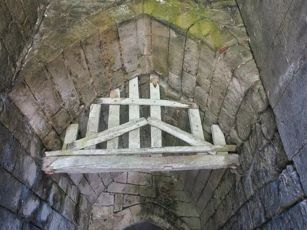 Slide image