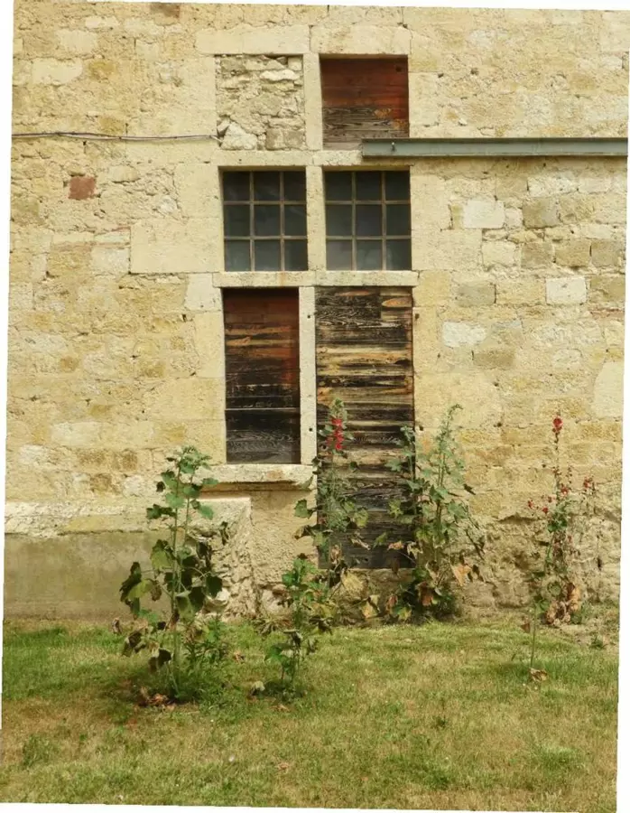 Slide image