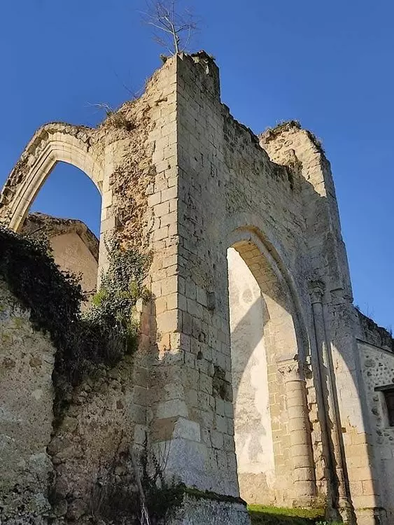 Slide image