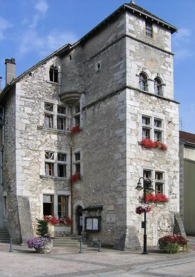Slide image