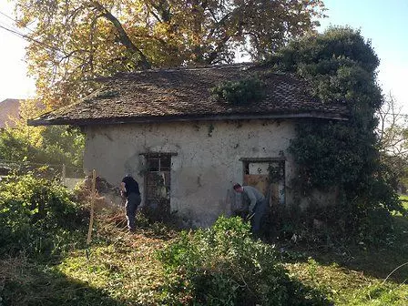 Slide image
