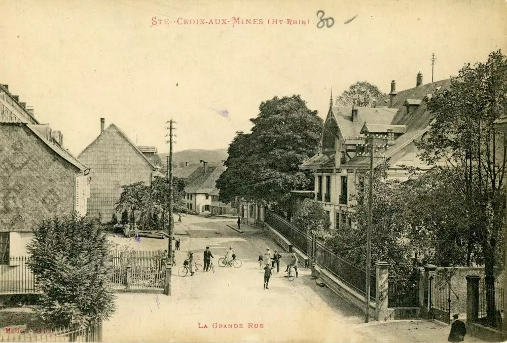 Slide image
