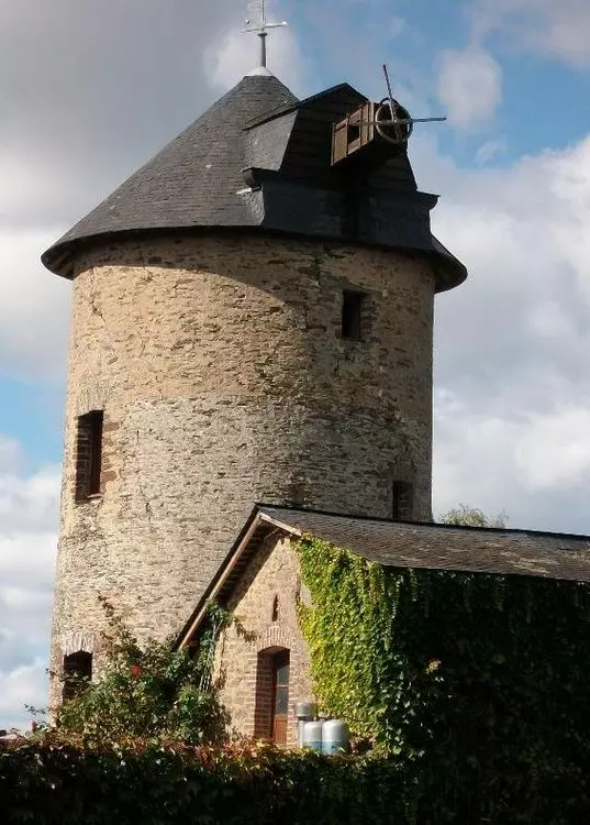 Slide image
