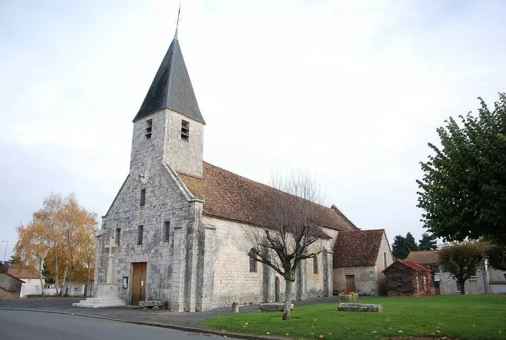 Slide image