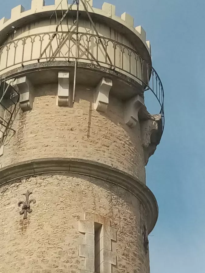 Slide image
