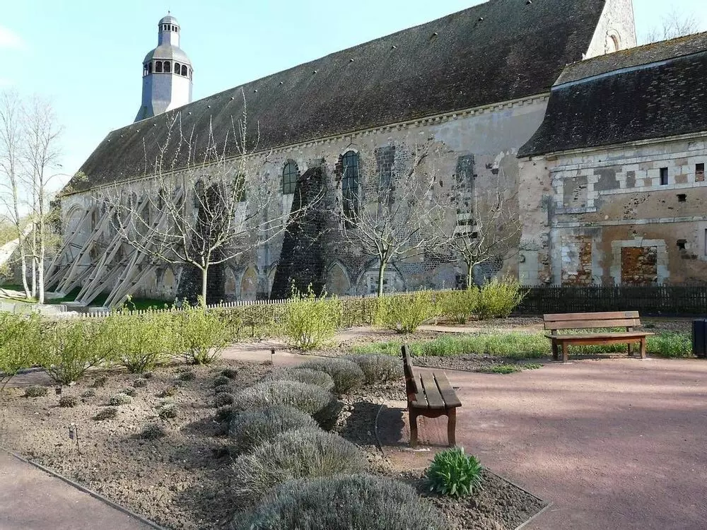 Slide image