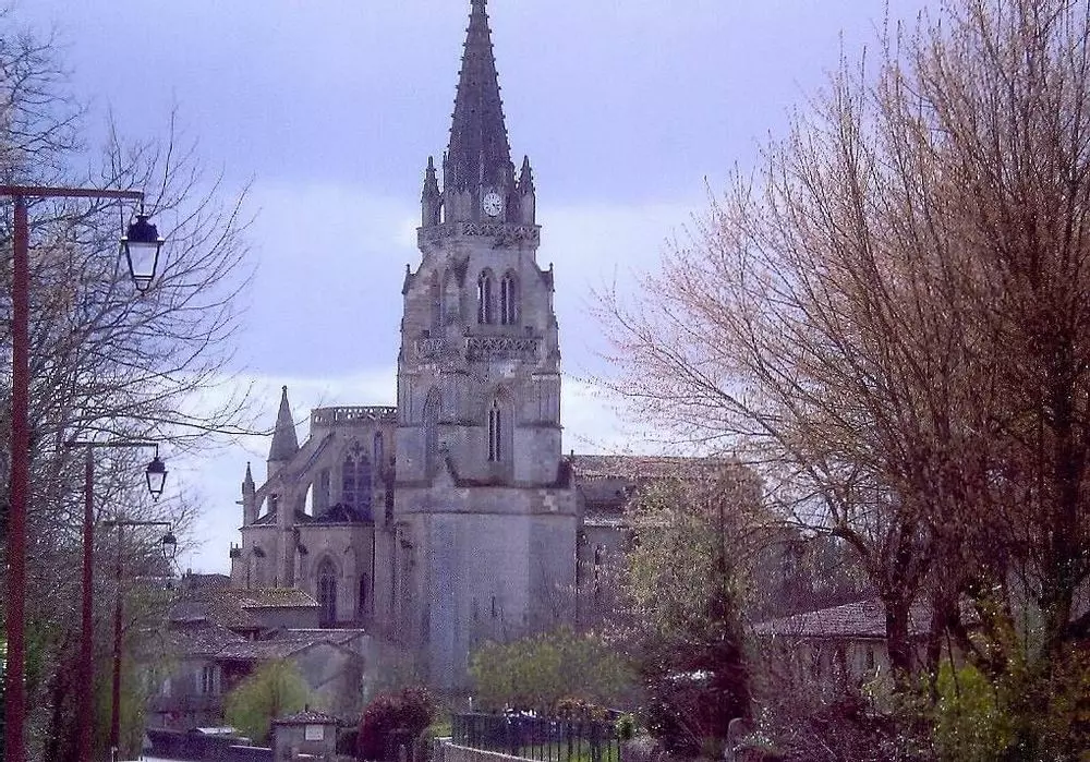 Slide image