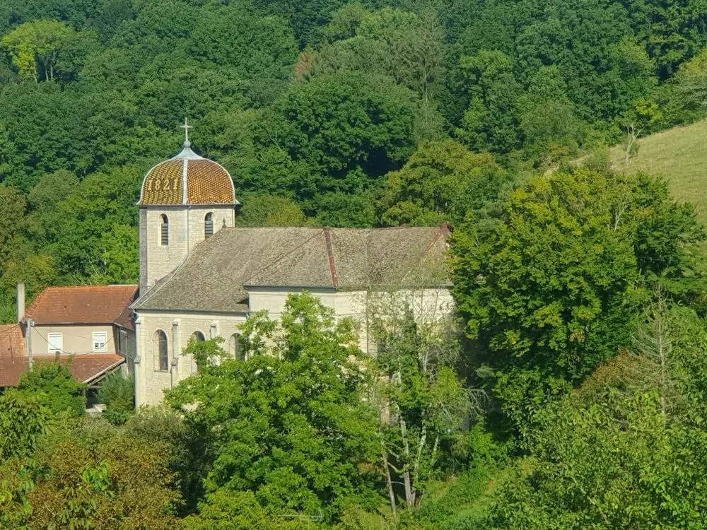 Slide image