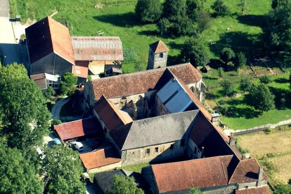 Slide image
