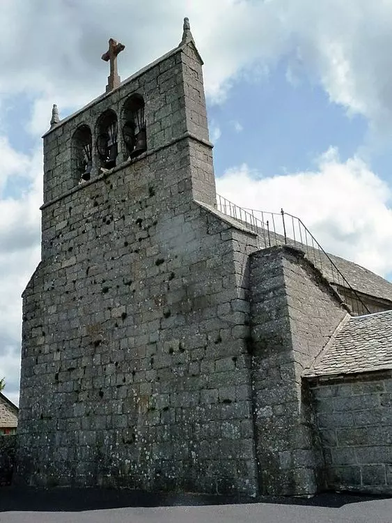 Slide image