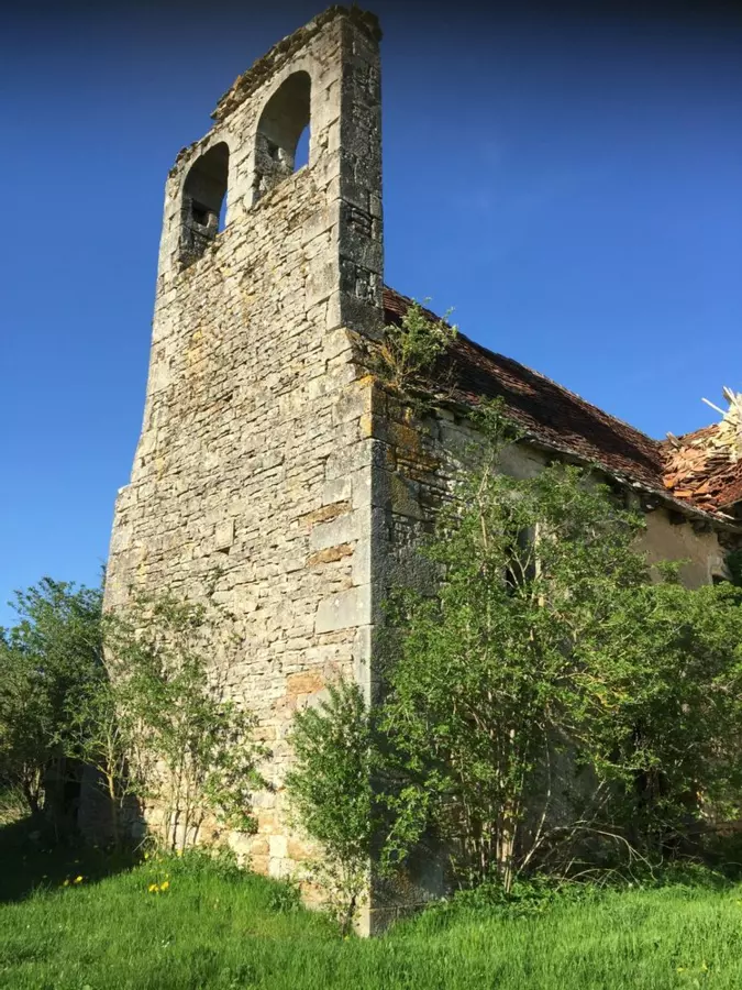 Slide image