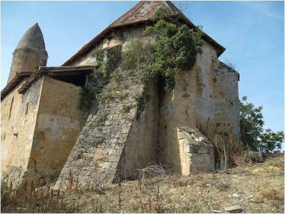 Slide image