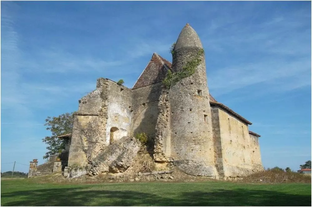 Slide image