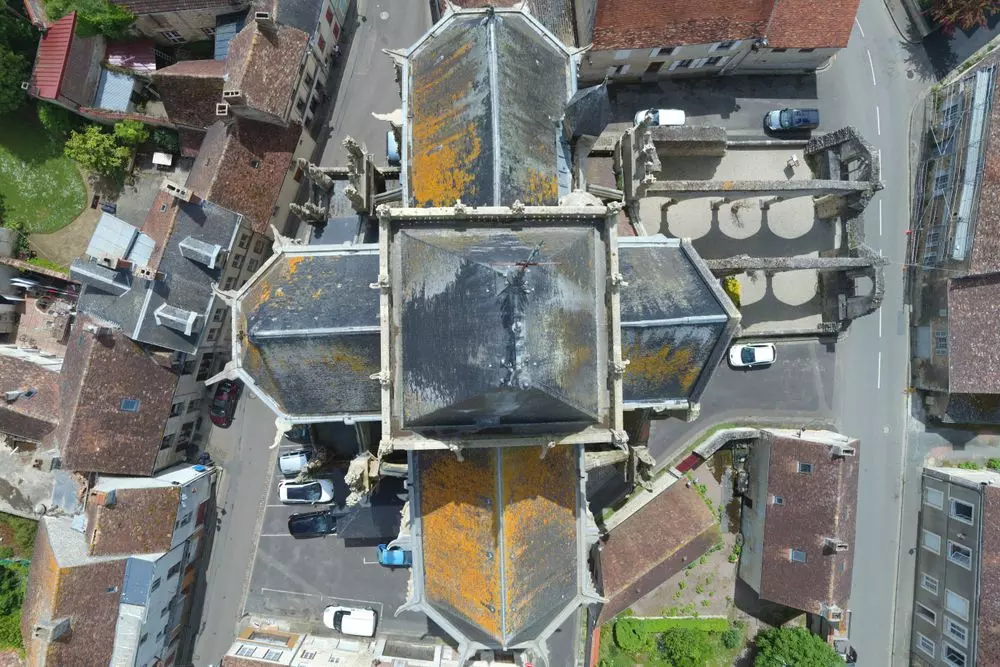 Slide image