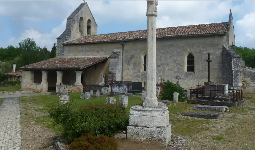 Slide image