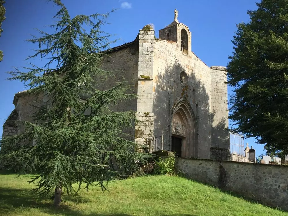Slide image