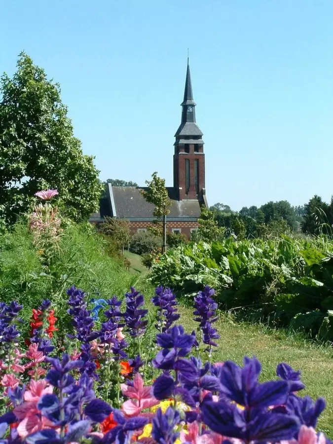 Slide image