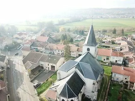 Slide image