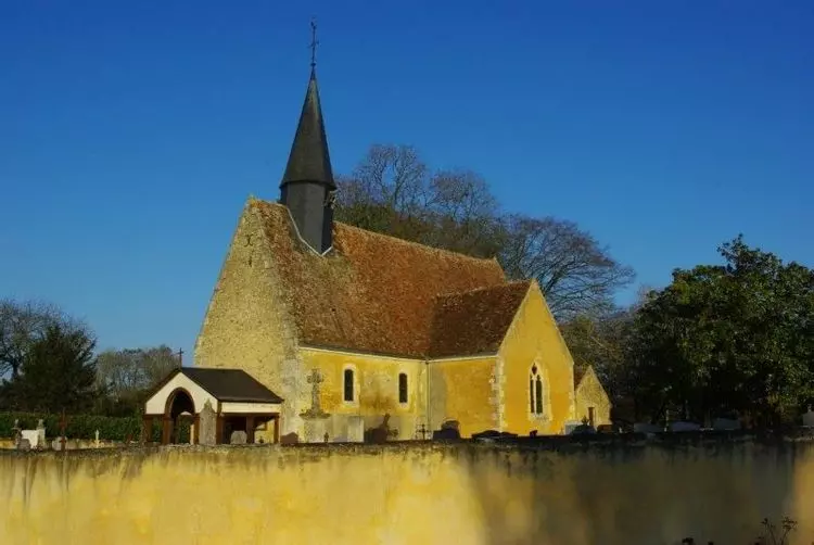 Slide image