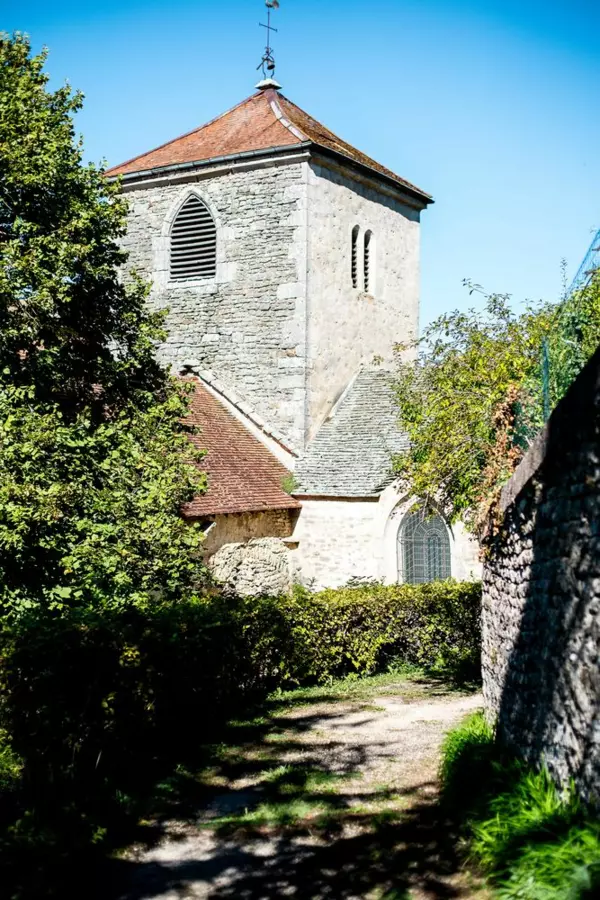 Slide image