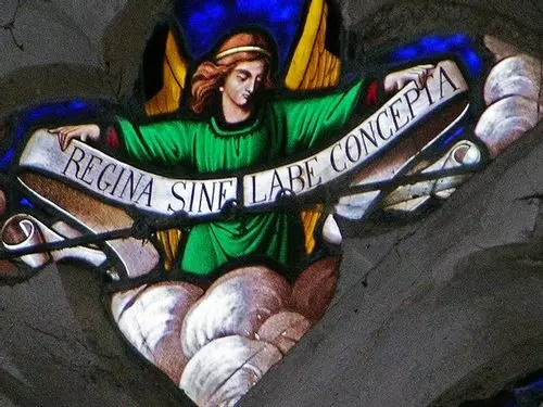 Slide image