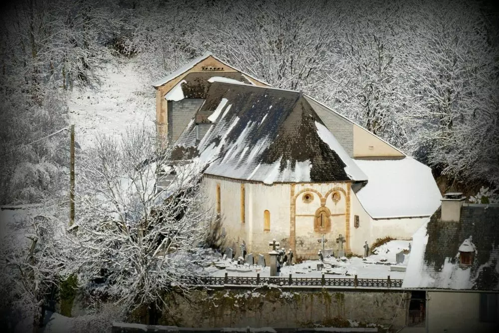 Slide image