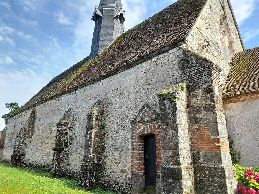 Slide image