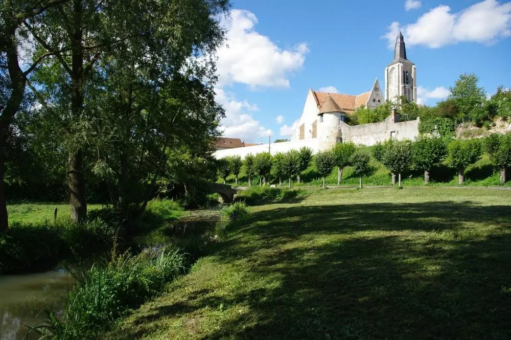 Slide image