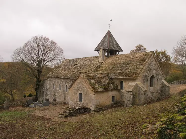 Slide image